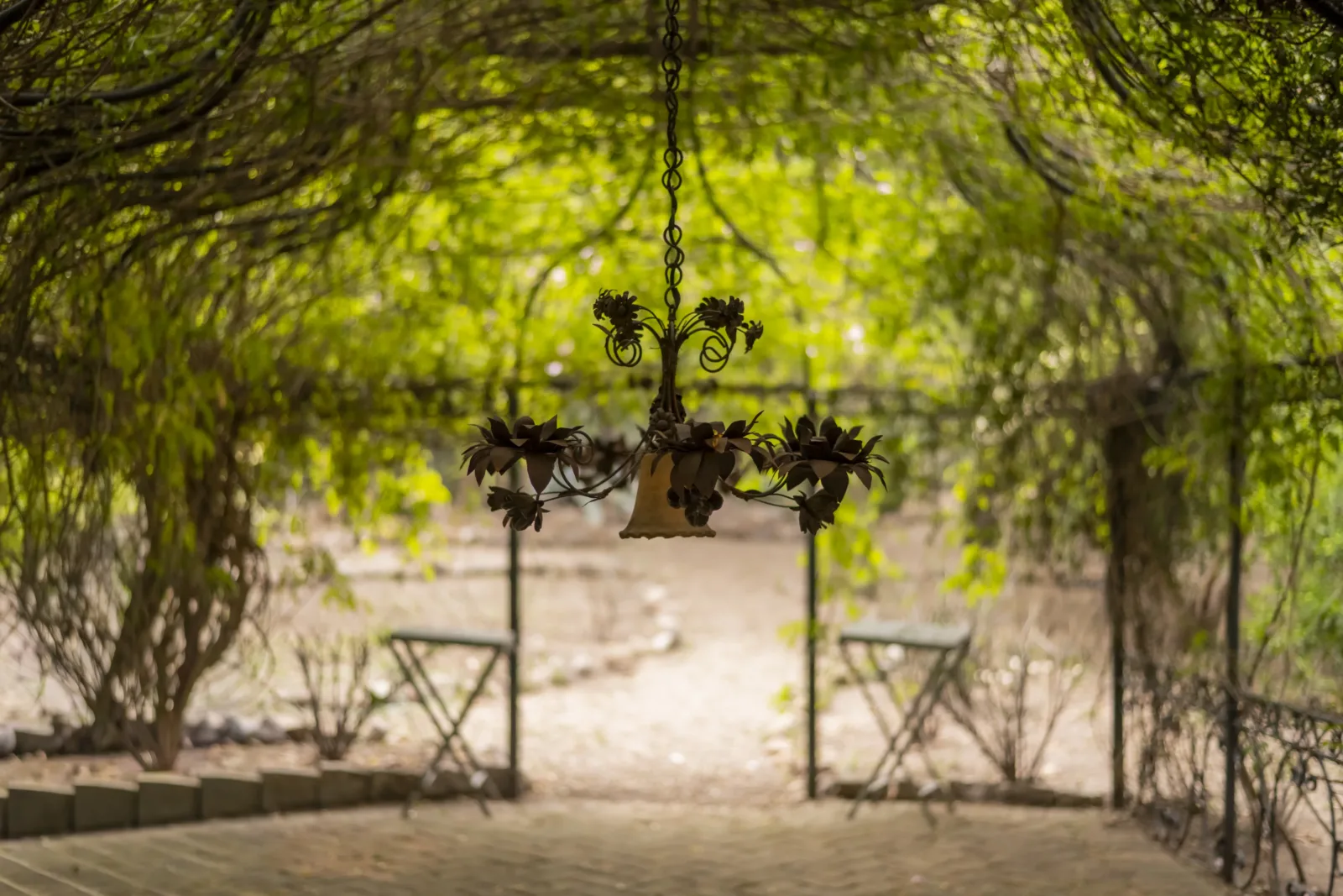 The kiosk beneath the vines, where dinners stretch on.