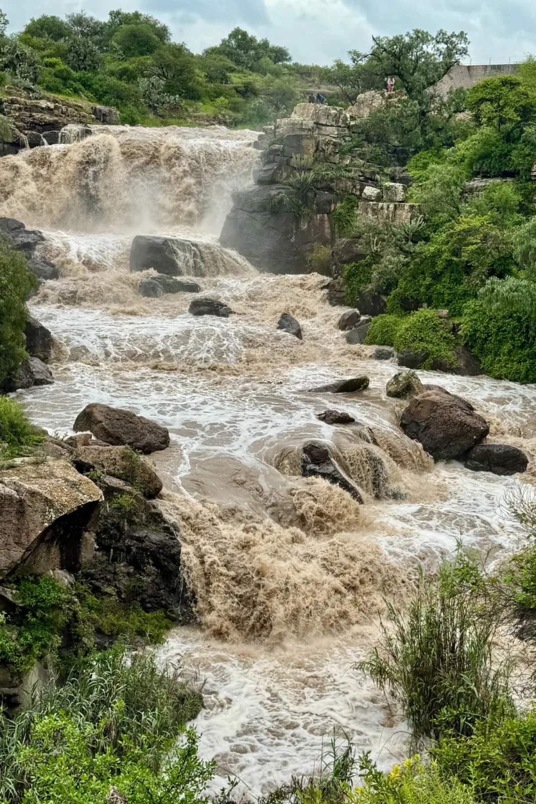 The canyon in the rainy season.