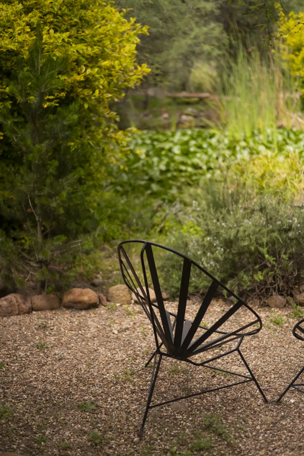 A chair facing the pond, where they would sit for hours watching the birds arrive.