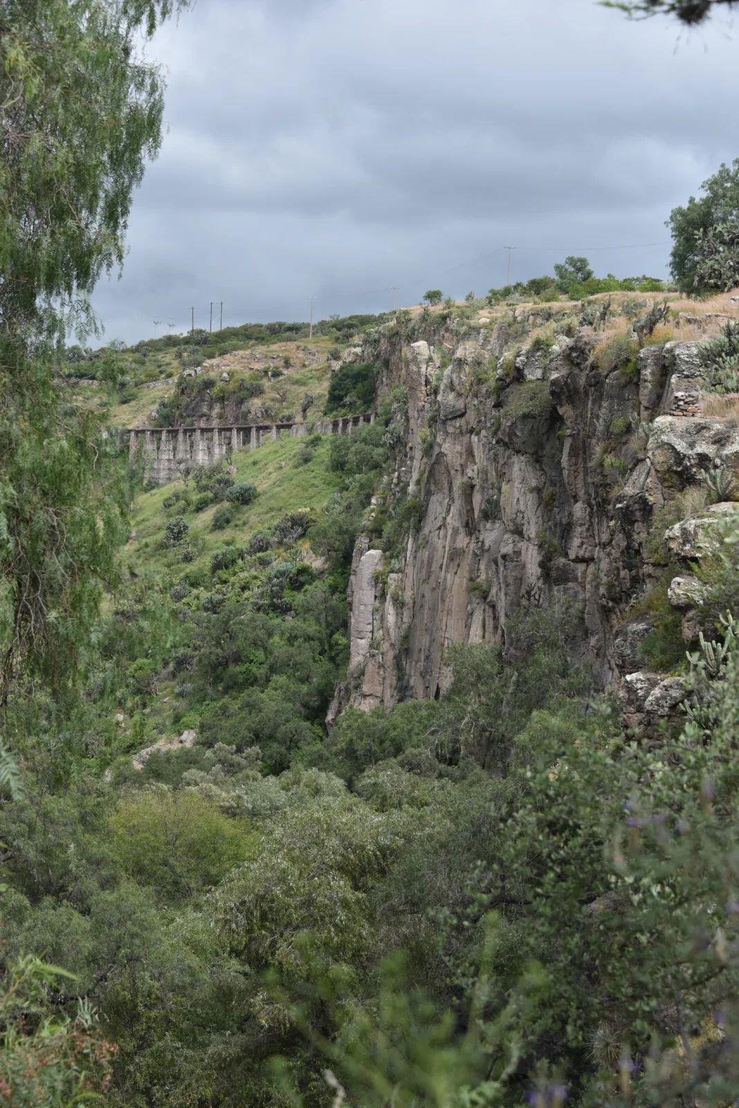 The canyon walls and, beyond, the pillars over the canyon.