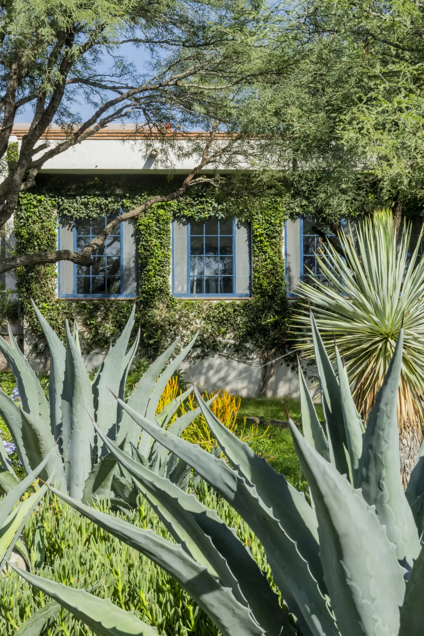 The house, half hidden by green.